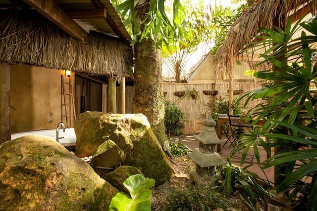 Suite (Rainforest)