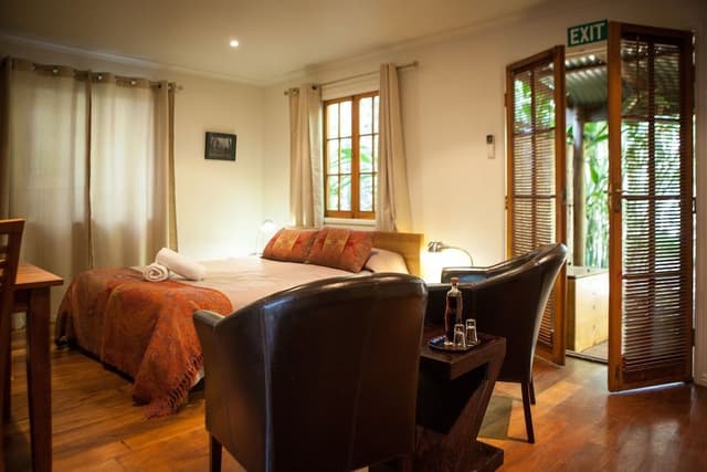 Suite (Rainforest)