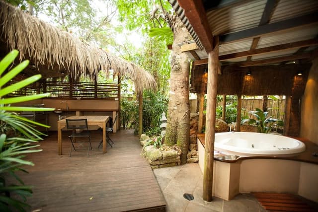 Suite (Rainforest)