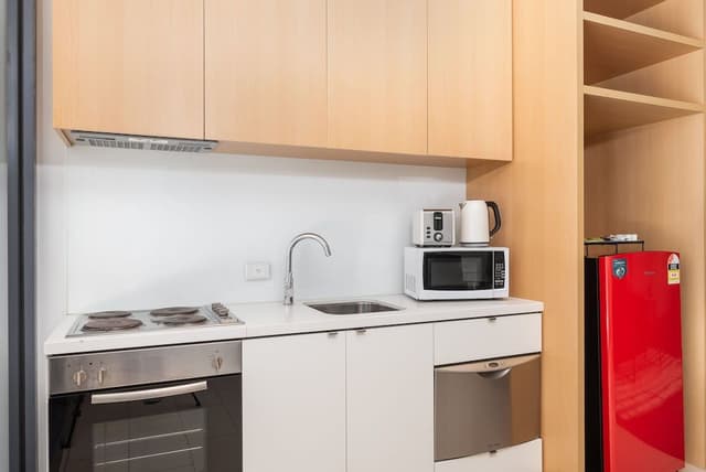 Deluxe Apartment, City View