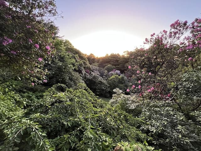 Garden Retreat