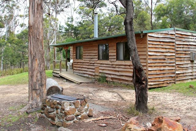 Standard Suite, Multiple Bedrooms, Kitchen (3 Bedroom Cabin)