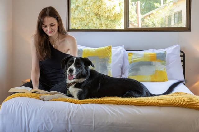Bark Royal Studio (Dog Friendly)