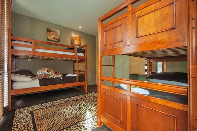 Safari Suite