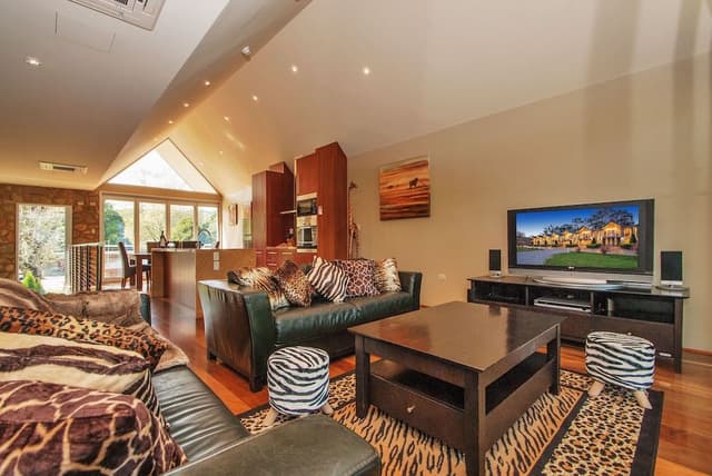 Safari Suite
