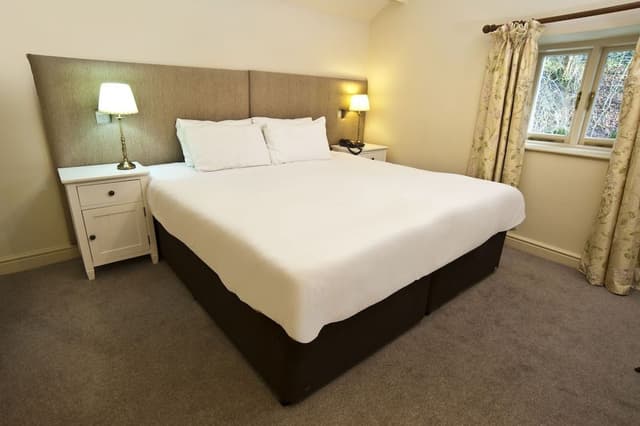 Superior Room, 1 King Bed