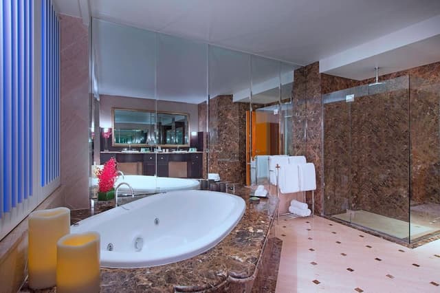 Executive Suite, 1 Bedroom