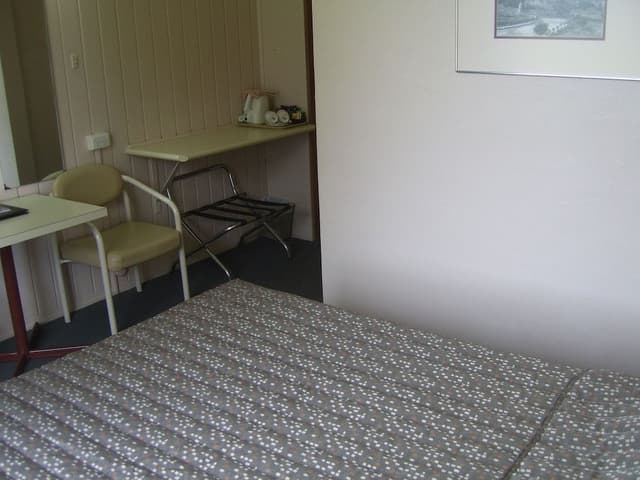 Standard Room, Non Smoking (Budget Queen Room)
