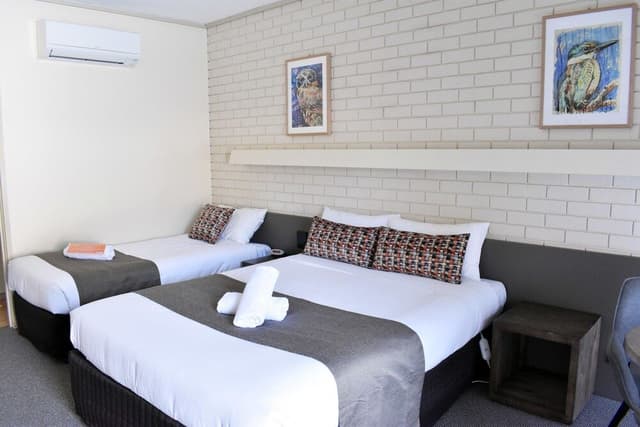 Standard Room Queen & Single