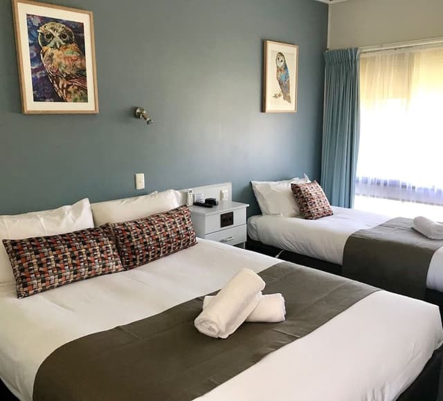 Executive Room Queen & Single