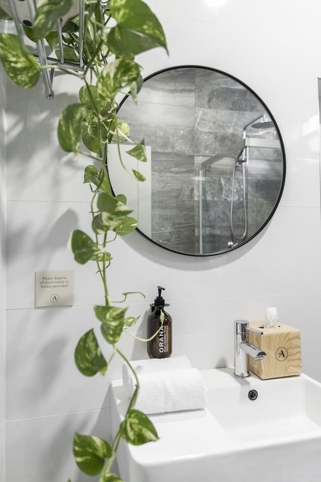 Deluxe Double, Shared Bathroom