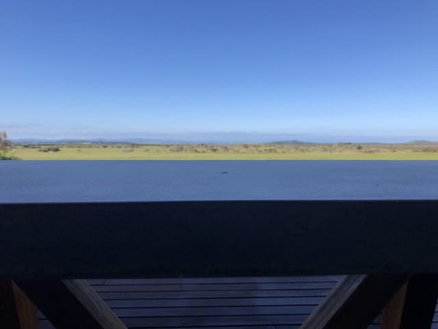 Panoramic House