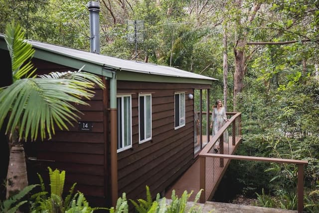 Treehouse