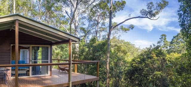 Treehouse