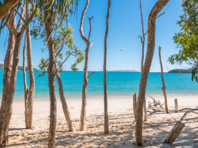 Bungalow - Beach Front