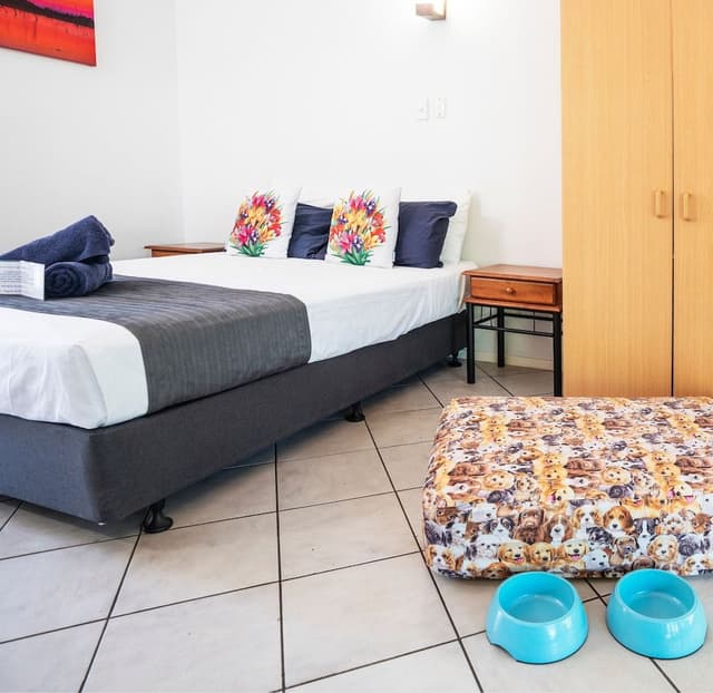 Pet Friendly Queen Room