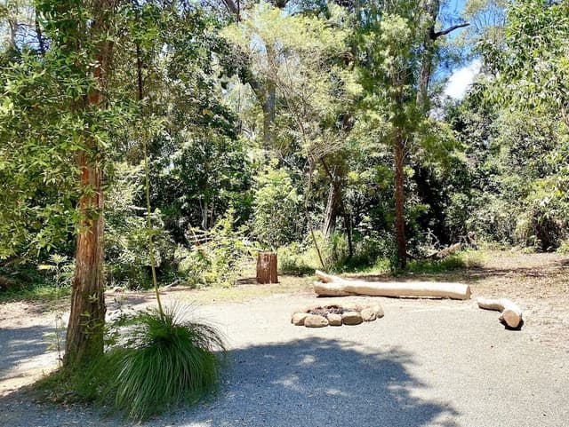 Banksia Family Cabin