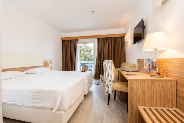 Classic Double Room
