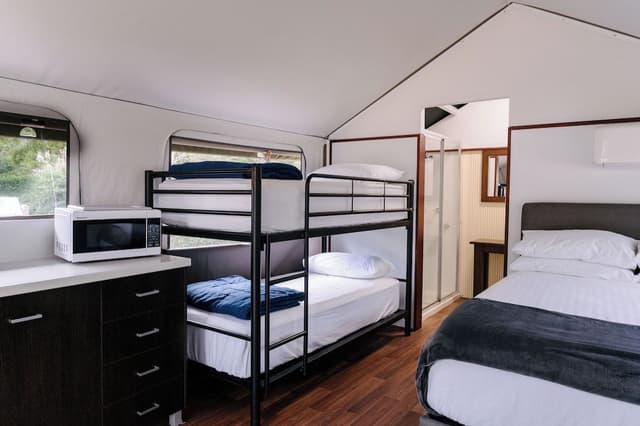 Safari Palm Tent