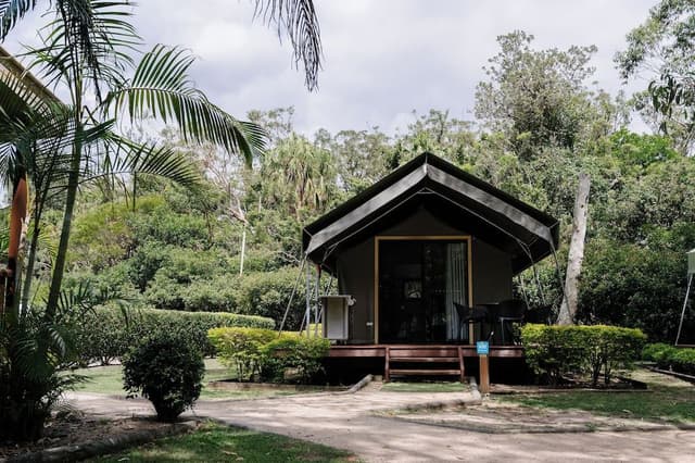 Safari Palm Tent