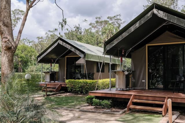 Safari Palm Tent