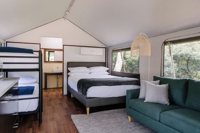 Safari Palm Tent
