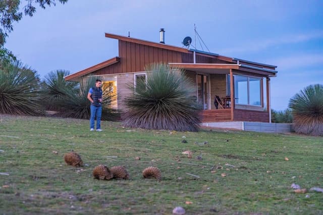 Luxury Villa, 1 King Bed, Valley View, Slope side