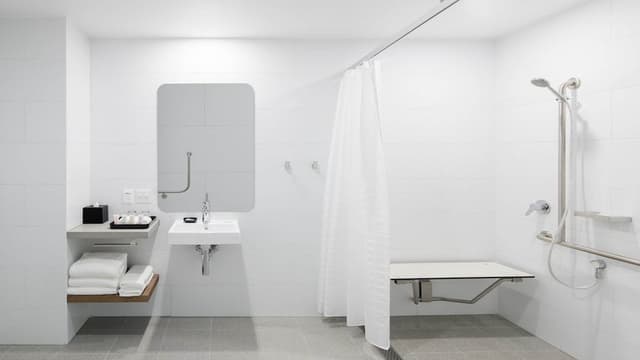 Standard Room Accessible, 1 King Bed