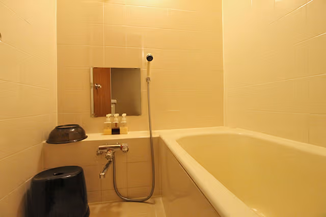 Japanese Style Room