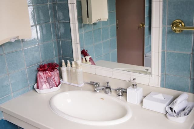 Deluxe Twin Room, Non Smoking (Adults [13 years and older] Only)