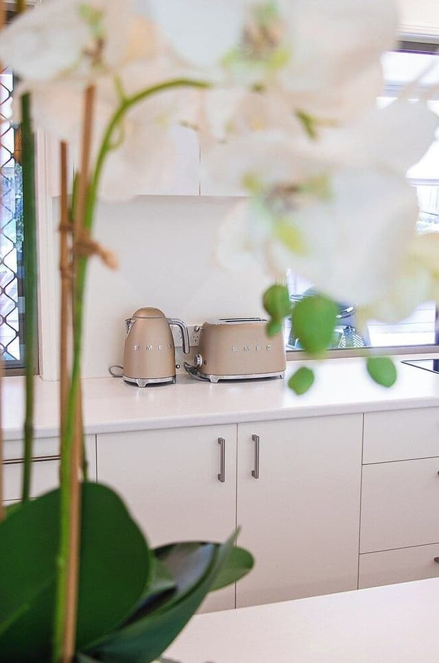 Family House, 3 Bedrooms, Kitchen, Garden View