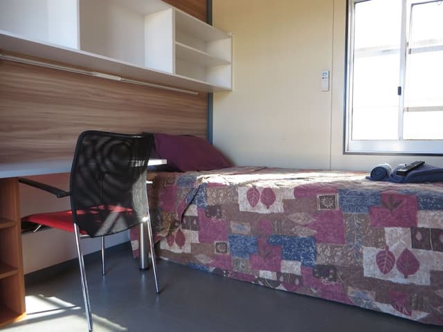 King Single Cabin