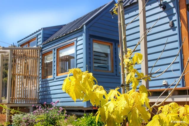 Design Cabin