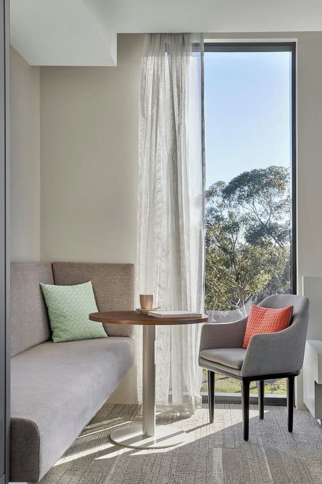 Large View King Room