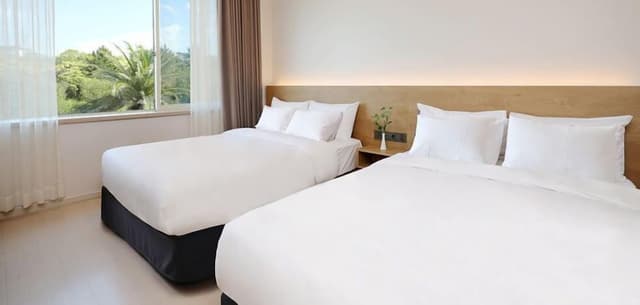 [Pool Ticket] Deluxe Twin: The Suites Hotel Jeju Pool Ticket