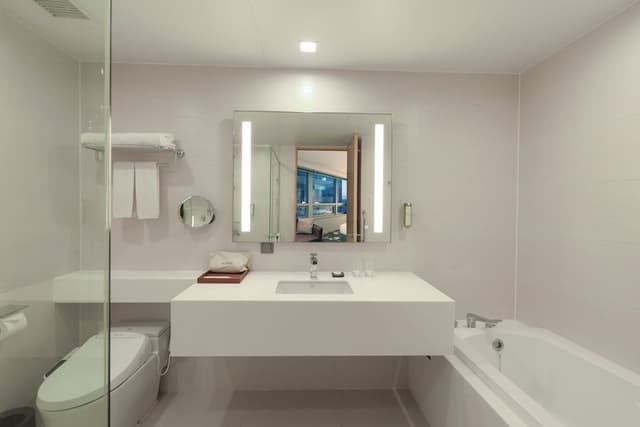 Premier Room (Avani)