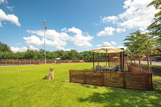 [Let's go PKG] Gold (Pet Club/Kitchen/Park View)-Play Ground exclusive area 2hour pass (1H2ticket)