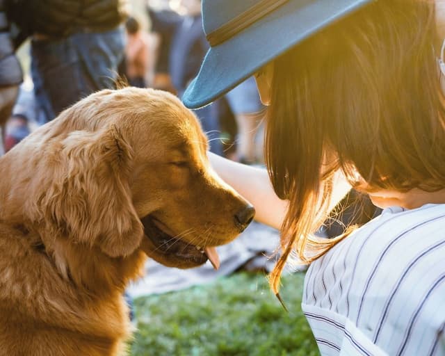 [Let's go PKG] Gold (Pet Club/Kitchen/Park View)-Play Ground exclusive area 2hour pass (1H2ticket)