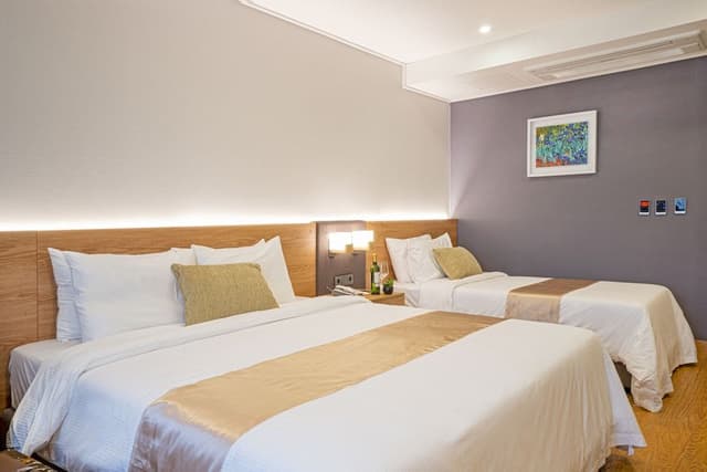 Deluxe Twin Room