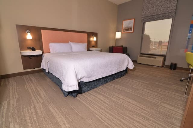 Room, 1 King Bed, Accessible (Roll-In Shower)