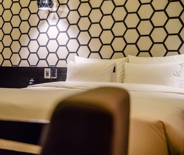 Premium Suite