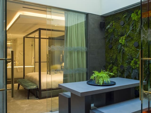 Luxury Suite