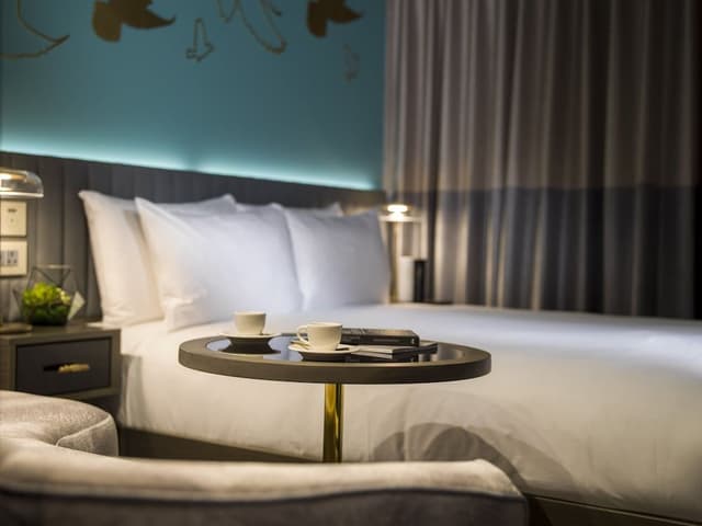 Deluxe Room (Urban)