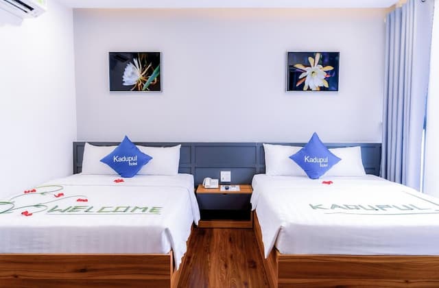 Basic Double Room