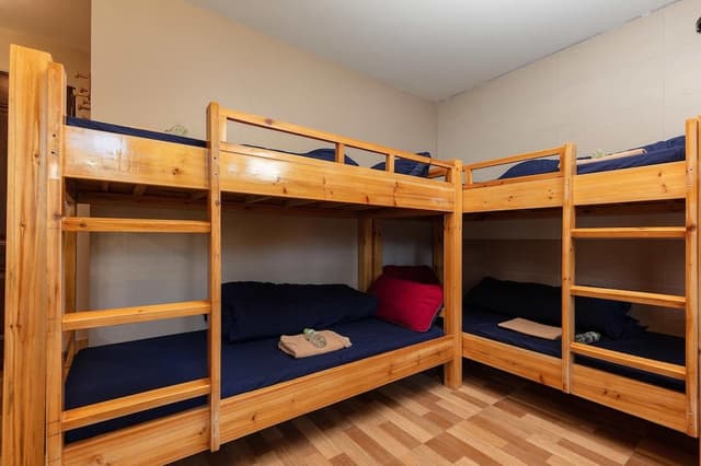 Bed in Mixed Dormitory, Shared Bathroom