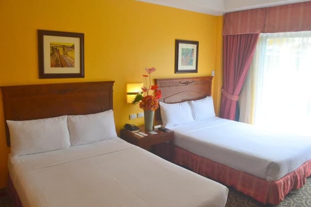 Deluxe Double or Twin Room