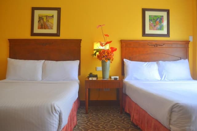Deluxe Double or Twin Room