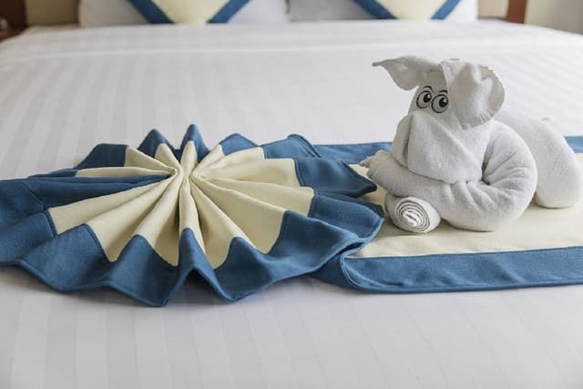 Superior Double or Twin Room, City View
