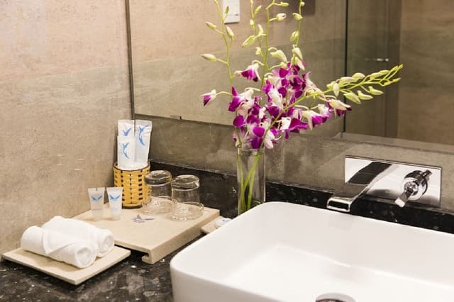 Superior Double or Twin Room, City View