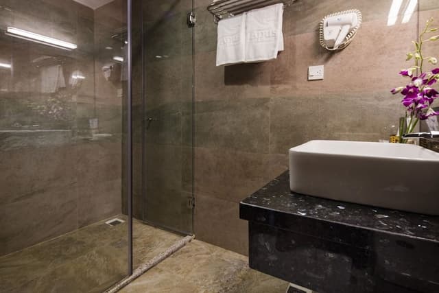 Superior Double or Twin Room, City View